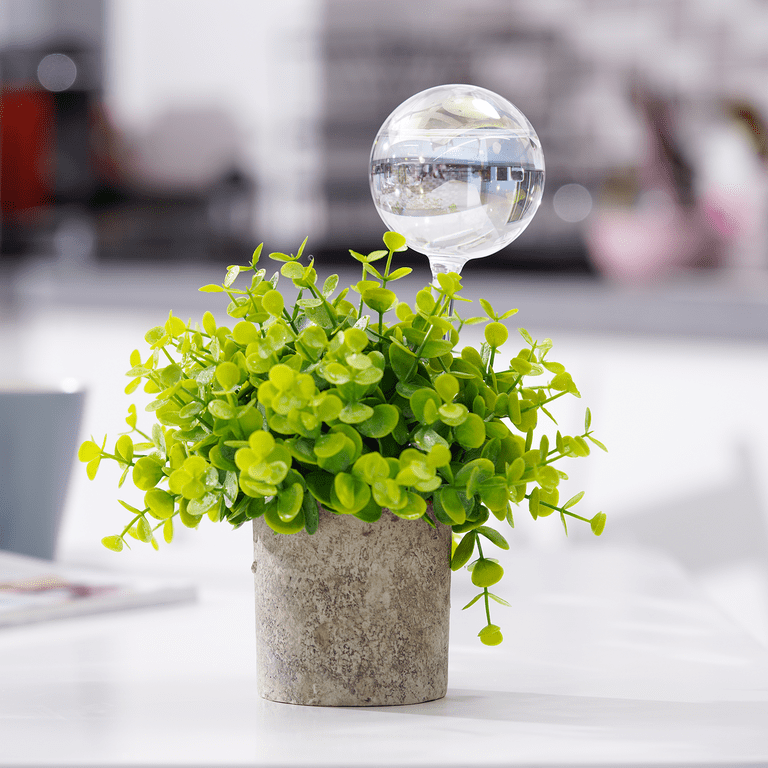 Tomorotec Self-Watering Glass Bulbs, 2-Pack photo 7