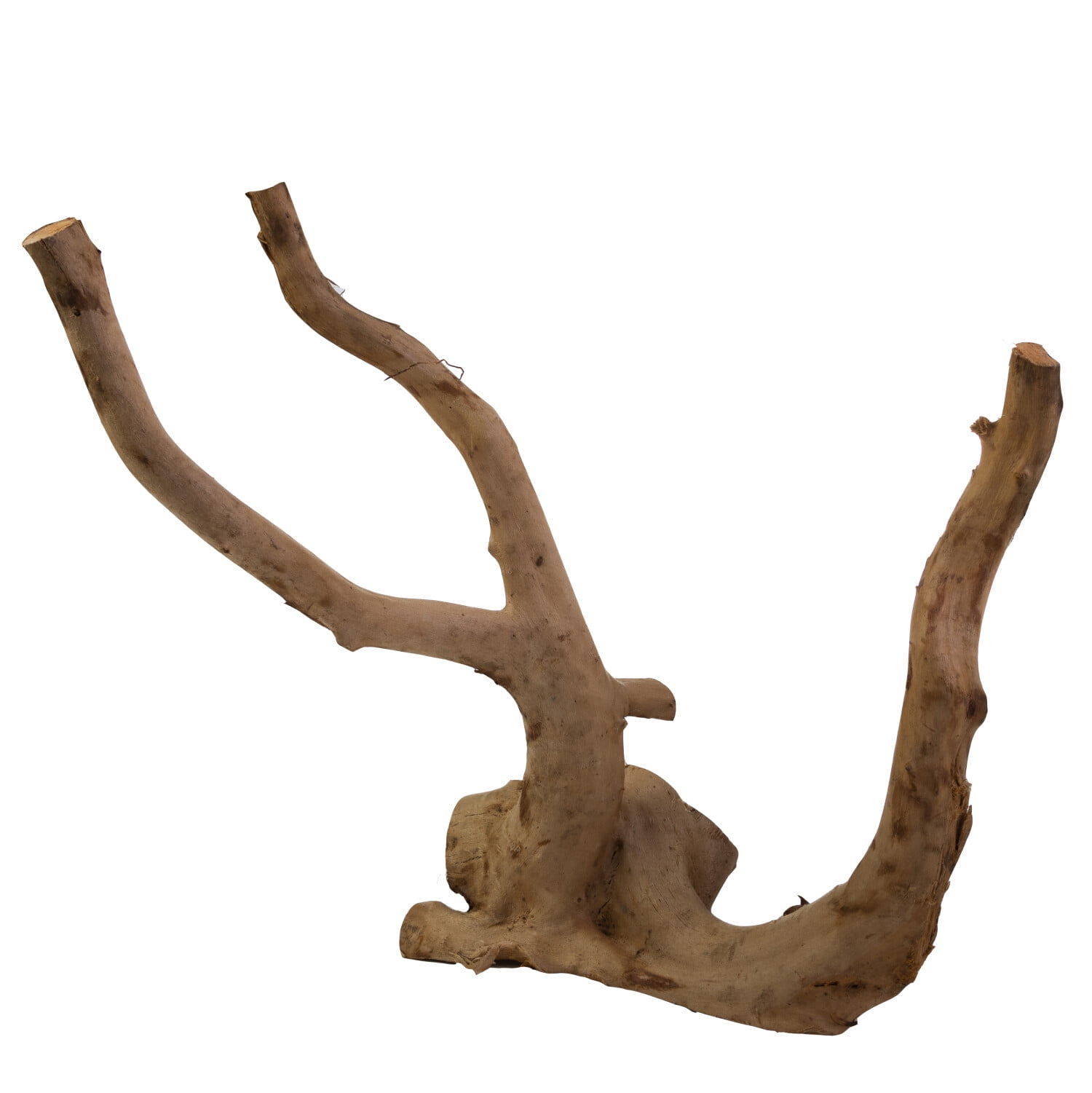 Zoo Med Medium Spider Wood for Aquariums and Terrariums Tan