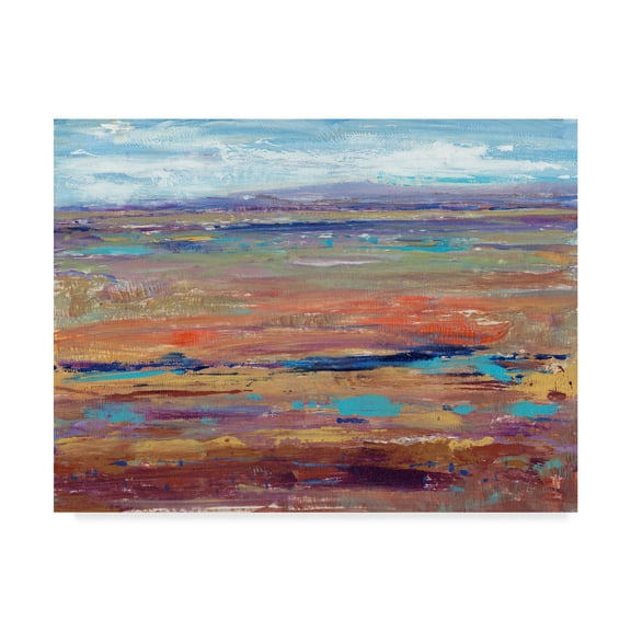 Trademark Fine Art 'Terra Vista IV' Canvas Art by Tim OToole