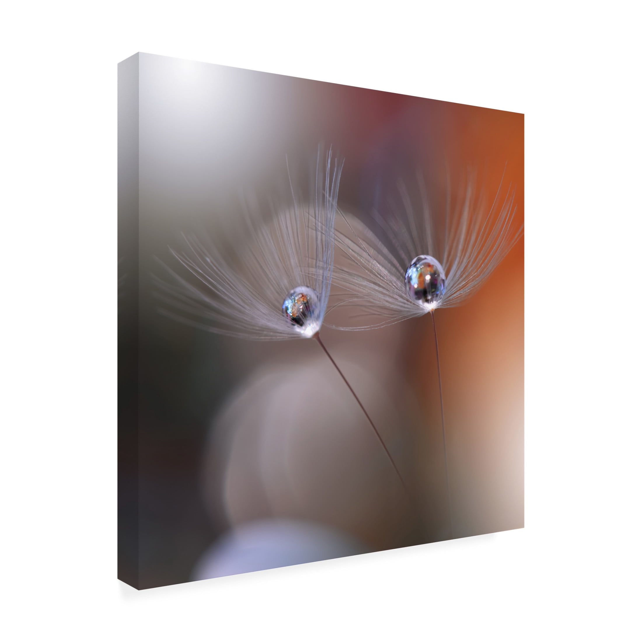 Canvas Wall Art - Juliana Nan 'Immortal Love ' Wall Art for Living Room, Bedroom, or Office D?cor by Trademark Fine Art - 35 x 35 Inches