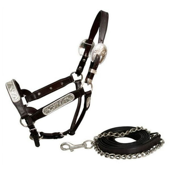 Showman Leather Show Halter w/ Engraved Silver Accents
