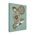 thumbnail image 2 of Trademark Fine Art 'Chambray Chintz III' Canvas Art by Vision Studio, 2 of 4