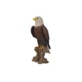 thumbnail image 3 of Águila calva decorativa en tocón, poliresina Hi-Line Gift Ltd., 3 of 5