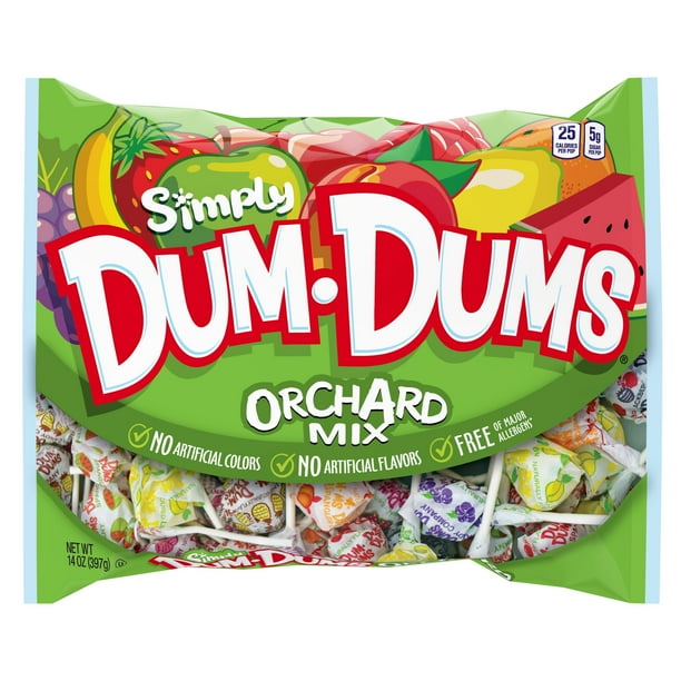 Simply DumDums Orchard Mix Lollipops Bag,14 Oz