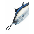 thumbnail image 3 of Iron Cat Tuna with Treat Pouch, 3 of 4