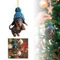 thumbnail image 1 of Eye Catching Dog Charm Spark Conversations With This Fashion Statement, 1 of 5