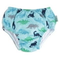 thumbnail image 5 of i play. Baby and Toddler Boy Pull-up Reusable Absorbent Swimsuit 2PK Diapers, Sizes 6M-3T, 5 of 6