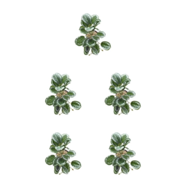 Bearachild Plantas de terrario tropical - Frescura y elegancia para el hogar Limpiar el polvo Plantas Hoja de pavo real artificial Type2 NO2