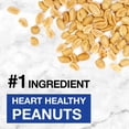 thumbnail image 4 of KIND Protein Bars, Double Dark Chocolate Nut, Gluten Free, 12g Protein, 1.76oz, 12 Count, 4 of 14