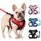 thumbnail image 2 of Arnés de verano para perros y gatos, correa ajustable, malla de poliéster, transpirable, reflectante, para perros pequeños y gatos, 2 of 5