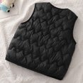 thumbnail image 4 of felwors Toddler Puffer Vest Boys Girls Vest Warm Winter Jacket Lightweight Sleeveless Buttons Coat (18-24 Months,Black), 4 of 6