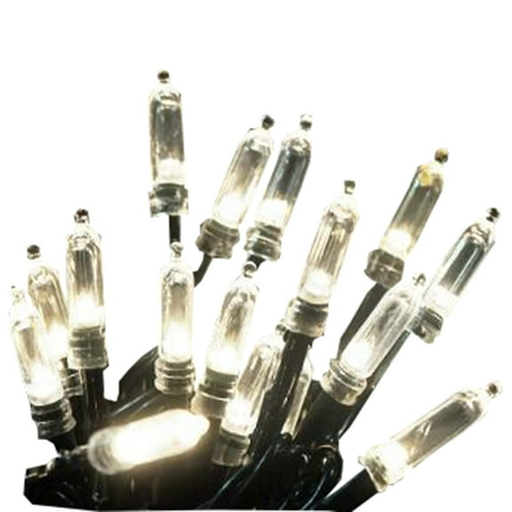 ProductWorks Indoor/Outdoor 150 LED-Mini Bulbs String Light Set with 8-Function Controller, Clear, 36ft