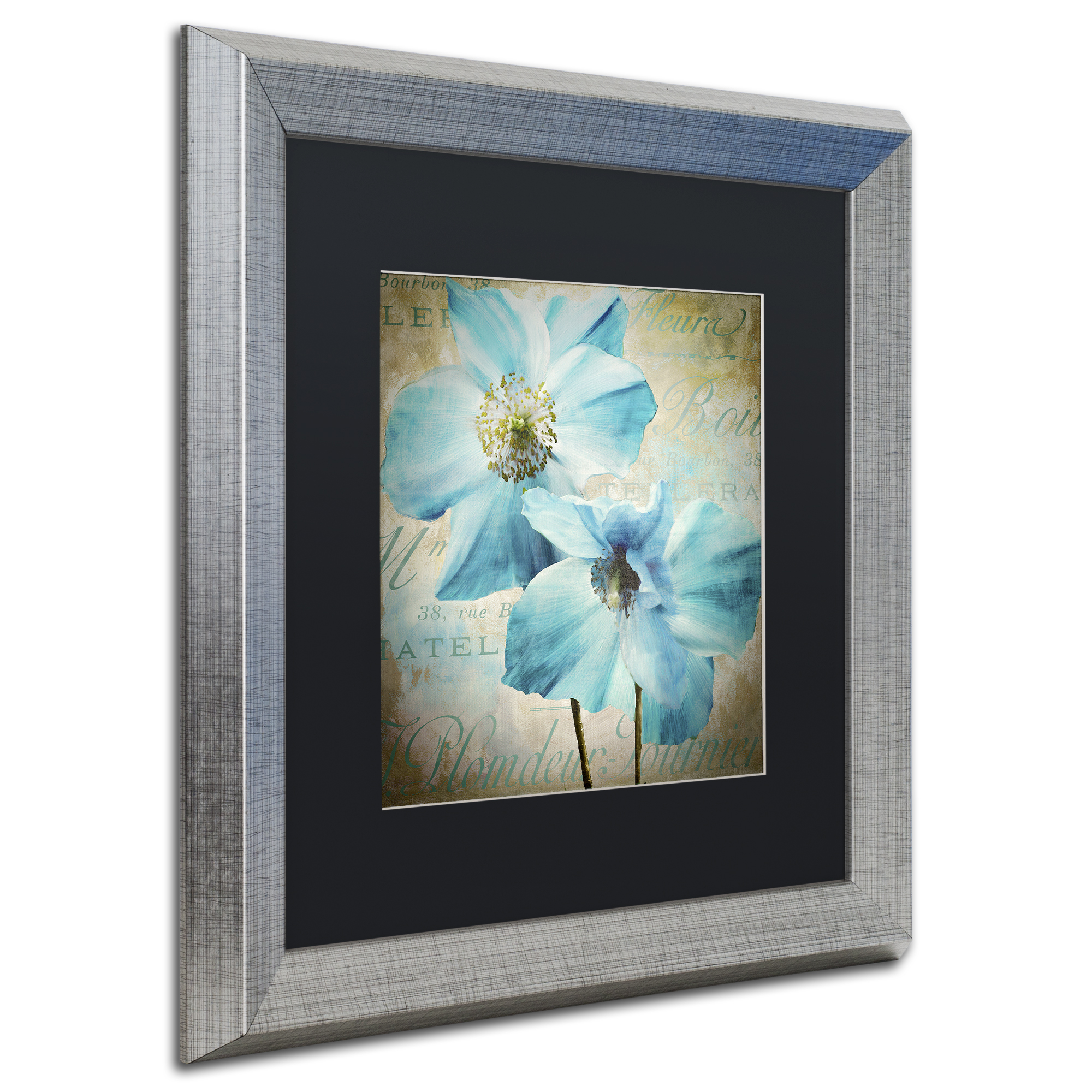 Trademark Fine Art 'Himalayan Blue I' Silver Framed Art by Color Bakery