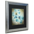 thumbnail image 2 of Trademark Fine Art 'Himalayan Blue I' Silver Framed Art by Color Bakery, 2 of 4