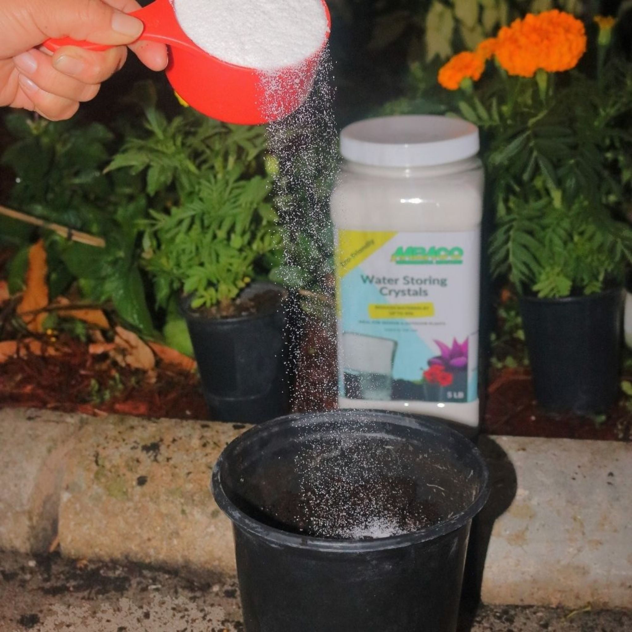 Water Storing Crystals - for Indoor & Outdoor Plants - Mix Crystals with Soil to Reduce The Amount of Watering Needed - Protect Against Heat - Watch Your Garden & Plant Grow (3LB)