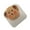 Brown, variant on Customizable Puppy Theme Resin Keycaps Mechanical Keyboard Keycap Replacement