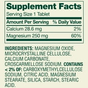 Spring Valley Magnesium Bone & Muscle Health Dietary Supplement Tablets, 250 mg, 100 Count