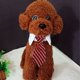thumbnail image 4 of 4 piezas de pajarita para mascotas, perros y gatos, disfraz para mascotas, corbata formal ajustable, collar para gatos y perros, accesorios de aseo, 4 of 5