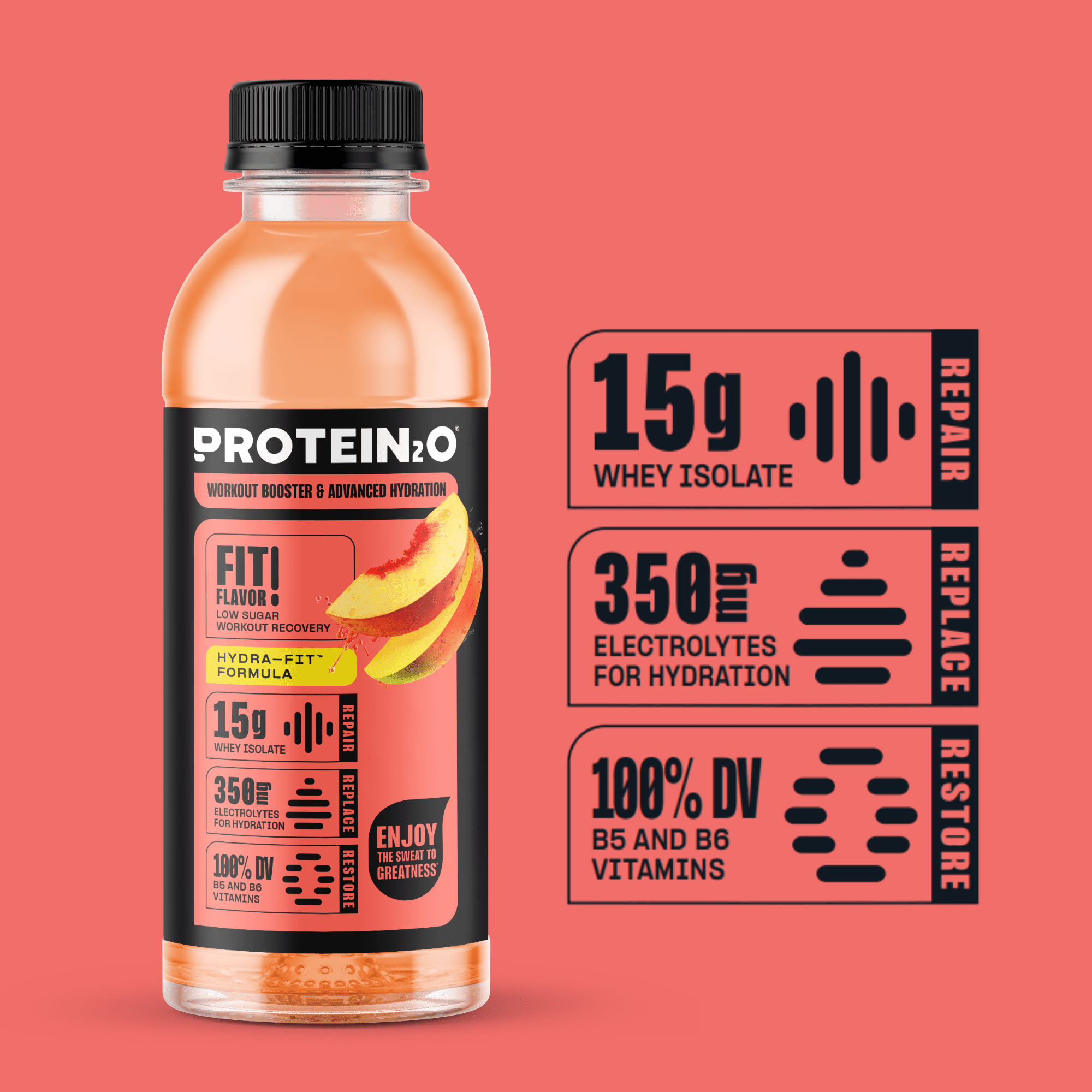 Protein2o 15g Whey Protein Isolate Hydration Drink, 350mg of Electrolytes, Vitamins B5 & B6, Low Sugar, Peach Mango, 16.9 oz Bottle (Pack of 12)