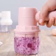 thumbnail image 1 of ELAYARD 1 Set Compact Portable Meat Grinder Stainless Steel for Food Preparation at Home, 1 of 8