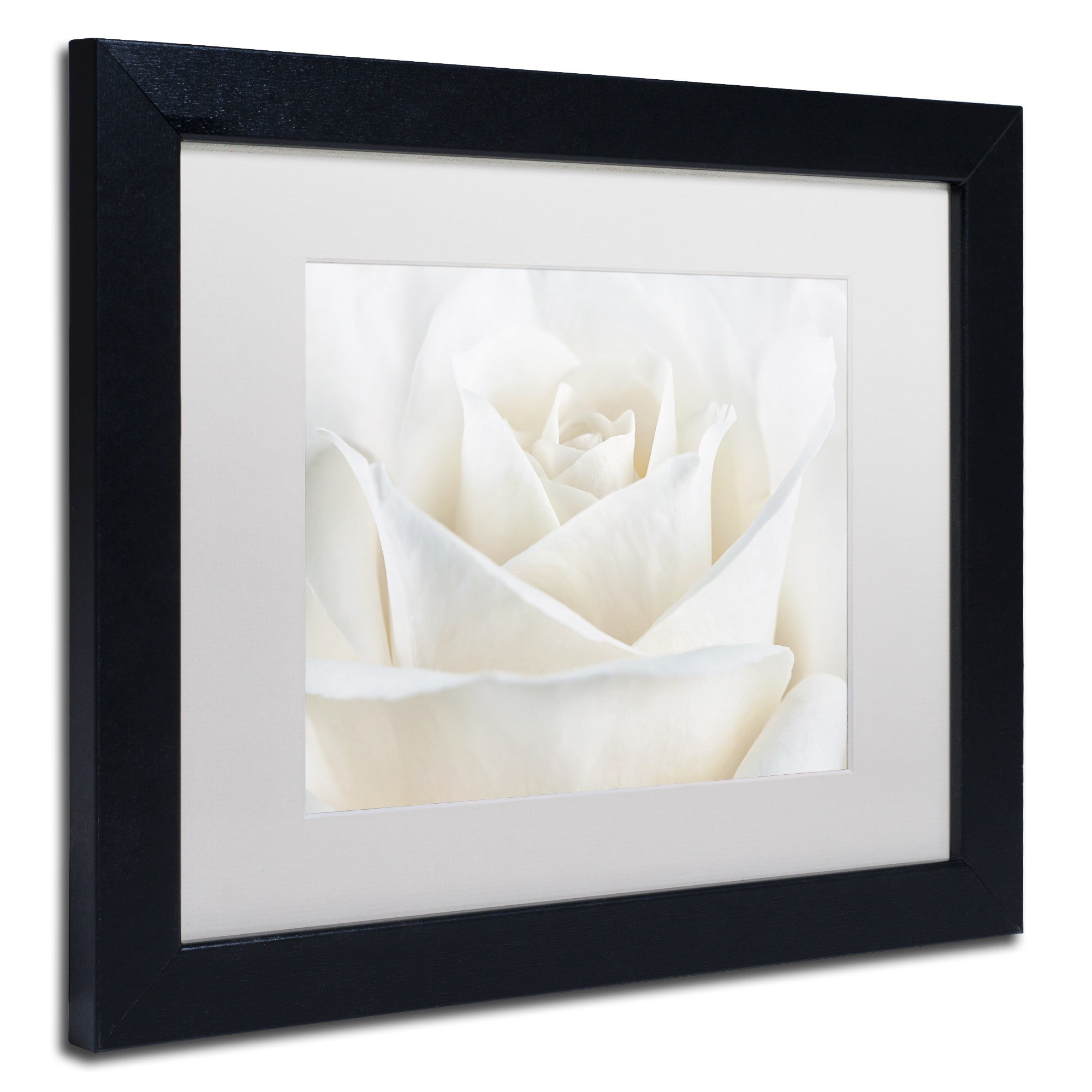 Trademark Fine Art 'Pure White Rose' Canvas Art by Cora Niele, White Matte, Wood Frame