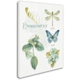 thumbnail image 2 of Trademark Fine Art "My Greenhouse Botanical II" Canvas Art by Lisa Audit, 2 of 3
