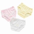 thumbnail image 2 of girl underwear 2 pcs cotton panties and infants snug fit, 2 of 5