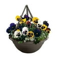 thumbnail image 6 of Bloem Milano Round Hanging Planter (Set of 12), 6 of 7