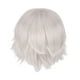 thumbnail image 5 of Peluca de cosplay, peluca de disfraz, peluca corta práctica, peluca completa para fiesta de disfraces de club masculino Blanco plateado, 5 of 9