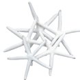 thumbnail image 1 of Beige Pencil Finger Starfish For Wedding Decor, Home Decor And Craft Project(6pcs, Beige), 1 of 5