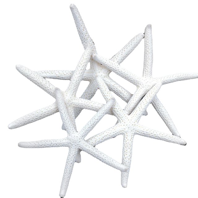 Beige Pencil Finger Starfish For Wedding Decor, Home Decor And Craft Project(6pcs, Beige)