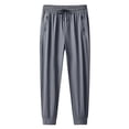 thumbnail image 2 of Nestiefly Comfys Fit StretchActive - Women's Ultra Stretch Ice Silk Quick Drying Comfort Casual Pants Light Gray 2XL, 2 of 7