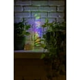 thumbnail image 6 of Enbrighten Multi-Color LED Curtain Fairy String Lights, 54299, 6 of 6