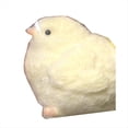 thumbnail image 1 of Keai Juguetes Hechos A Mano para Rascar y Frotar Pollo Amarillo Pequeño Juguete de Regalo de Pollo de Silicona B, 1 of 5