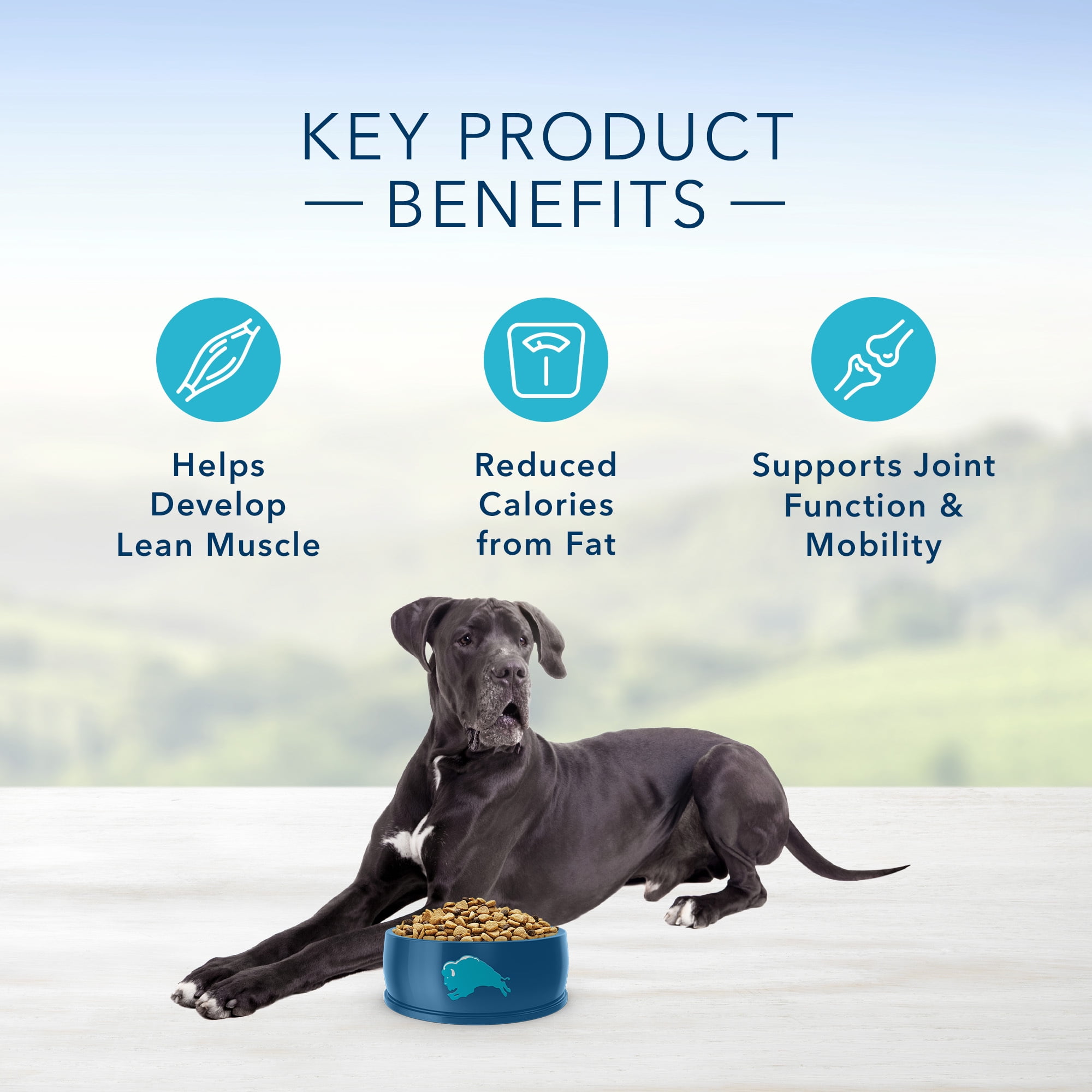 Blue buffalo reduced cheap calorie dog food