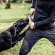 thumbnail image 5 of Juguete para para perros , palo para morder, resistente a las lágrimas, juguetes para masticar para mascotas, para que los, 5 of 9