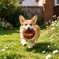 thumbnail image 6 of SouMaox Plush Donut Squeaky Dog Chew Toy, Soft Interactive Pet Toy for Boredom Relief, Durable Plaything for Aggressive Chewers, 3.93" Brown, 6 of 6