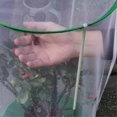 thumbnail image 4 of Insect Butterfly Habitat, Butterfly Garden Set, 30 x 40 cm, Large Butterfly Habitat, Cage, Foldable Insect Net, Butterfly House for Ref: 7397, 4 of 4