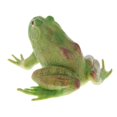 thumbnail image 1 of Baohd Realistic Plastic Animal Figure Simualtion Model Toys Green Bullfrog, 1 of 9