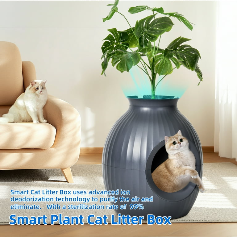 Advanced litter box 2025