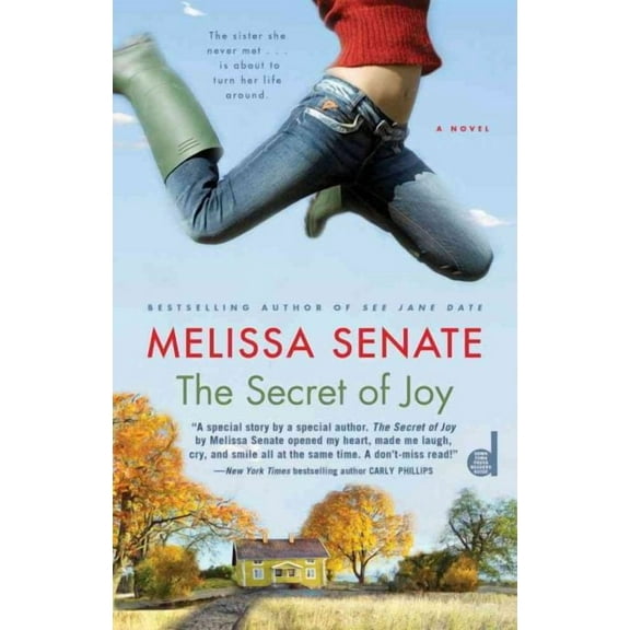 The Secret of Joy (Paperback)