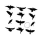 thumbnail image 4 of 18 Cuervos Decorativos Colgantes de Halloween, Esculturas de PVC Resistentes a la Intemperie Paquete de 12, 4 of 9