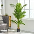 thumbnail image 2 of GDF Studio Behrens Artificial Palm Tree, 5' x 2.5', 2 of 6