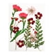 thumbnail image 1 of 13 plantas con flores secas para envoltorios de regalo, accesorios de arte y joyería de resina epoxi. rojo, 1 of 9