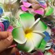 thumbnail image 2 of unbranded 20Ud Pinzas Para Decorativas Hawaii Para Fiesta Y Uso Diario, 2 of 8