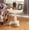 White, variant on 26 Inch Round Wood Pedestal Side Table, Black End Table for Living Room, Compact Pedestal Table for Small Spaces