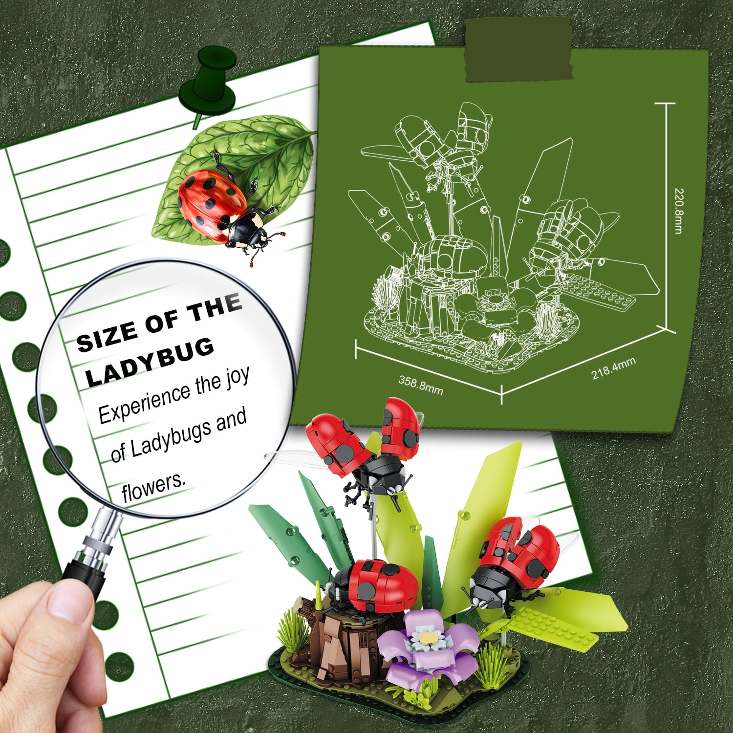 Insect Collection, Ladybug Building Set, Compatible with Lego Ideas Reptilian Animals Bugs Insect Collection Display Model, STEM Gift for Nature Lovers, 8 9 10 11 12 Boy Girl or Adult, Decor, 741PCS