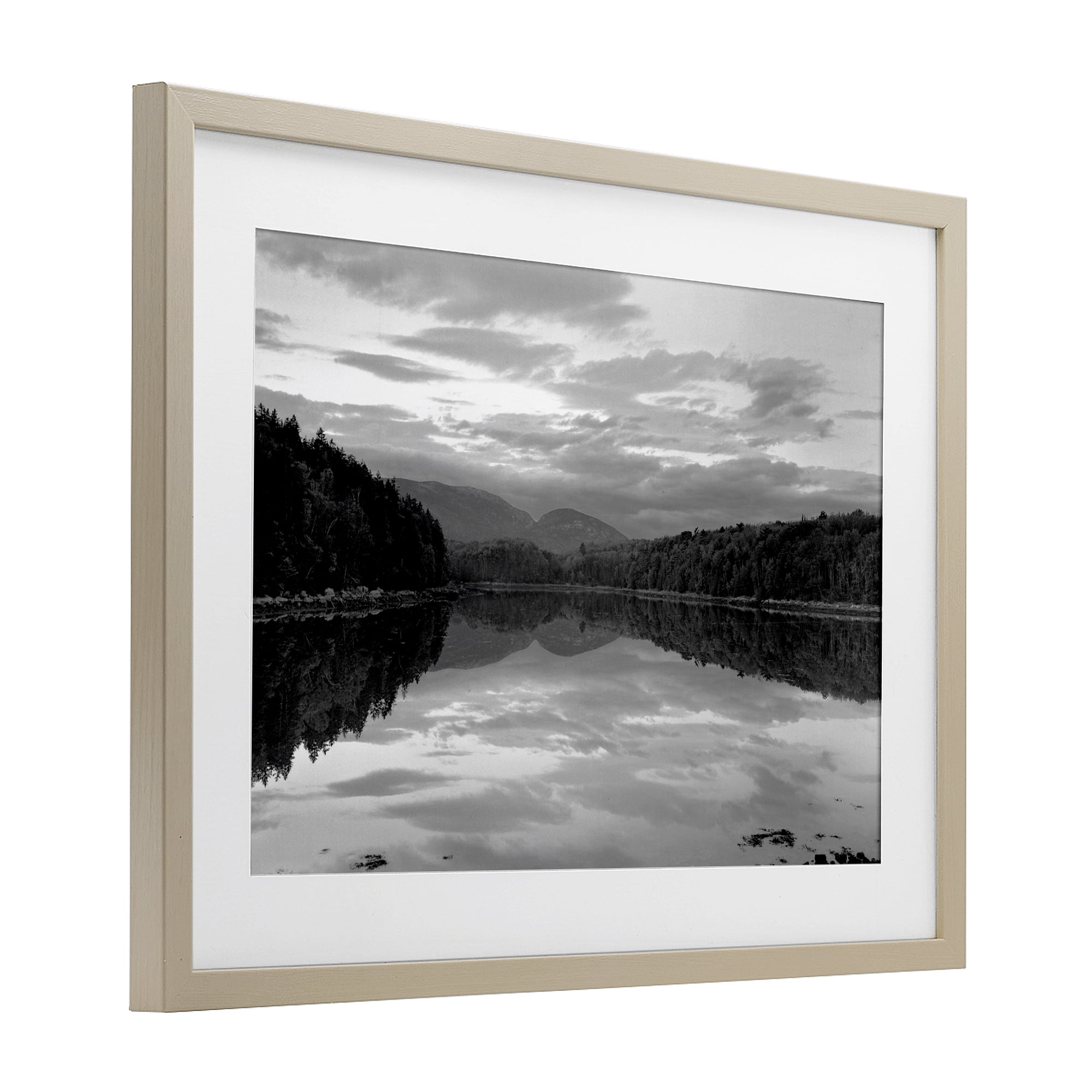 Stupell Industries Acadia Reflection in Monochrome Birch Framed Print Under Glass, design by MJ Photography