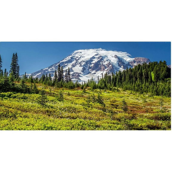 Trademark Fine Art "Mount Rainier Meadow" Canvas Art by Pierre Leclerc