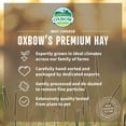 thumbnail image 4 of Oxbow Orchard Grass Hay 40 oz, 4 of 7